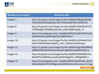 Fisiología Cardiovascular




Nombre de la Imagen                       Dirección URL/
Imagen 7              http://t2.gstatic.com/images?q=tbn:ANd9GcSkROgokGN9p
                      7HAa32lUEl3tCDjzBcNprUoL57hbhuG6dTh0d-sE9S5n3A
Imagen 8              http://t3.gstatic.com/images?q=tbn:ANd9GcTjNeilN25FCFh
                      UTSMlpBgUVIlk0tBQyxQXa2N_xdS0cXQ8Iridqcj6_r0
Imagen 9              http://2.bp.blogspot.com/_RsyKBL2MDYk/SaOWYTAHKiI/AA
                      AAAAAAAeA/psG803qpF3o/s400/Partes+
Imagen 10             http://t2.gstatic.com/images?q=tbn:ANd9GcSzDPo6aFE1dV
                      9wlw7UkI6v4kSptIu3JSqPij_mvV_fofk1pwCHoKUasjw
Imagen 11             http://t1.gstatic.com/images?q=tbn:ANd9GcQqmRKANfMnf
                      qR8RAHFNYUOVEhHUoFskmGAcJXgVD3zLupXHfyiYRtd-w
Imagen 12             http://t2.gstatic.com/images?q=tbn:ANd9GcRiDlDGNjFzFco
                      M4zRtPUzJQMkShcumyHfyofC4OdQgZDb_YZ9bgtRZb0-e
Imagen 13             http://2.bp.blogspot.com/_RsyKBL2MDYk/SaOWYsKe_6I/AA
                      AAAAAAAeQ/HY210zNgeuo/s400/Partes+del+corazon+2.jpg
                                                                          Siguiente
 