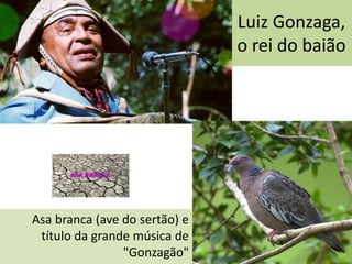 Luiz Gonzaga,
o rei do baião
Asa branca (ave do sertão) e
título da grande música de
"Gonzagão"
 