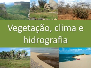 Vegetação, clima e
hidrografia
 