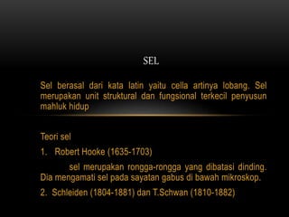 SEL 
Sel berasal dari kata latin yaitu cella artinya lobang. Sel 
merupakan unit struktural dan fungsional terkecil penyusun 
mahluk hidup 
Teori sel 
1. Robert Hooke (1635-1703) 
sel merupakan rongga-rongga yang dibatasi dinding. 
Dia mengamati sel pada sayatan gabus di bawah mikroskop. 
2. Schleiden (1804-1881) dan T.Schwan (1810-1882) 
 