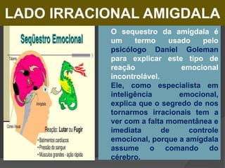 LADO IRRACIONAL AMIGDALA
 O sequestro da amígdala é
um termo usado pelo
psicólogo Daniel Goleman
para explicar este tipo de
reação emocional
incontrolável.
Ele, como especialista em
inteligência emocional,
explica que o segredo de nos
tornarmos irracionais tem a
ver com a falta momentânea e
imediata de controle
emocional, porque a amígdala
assume o comando do
cérebro.
 