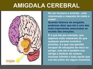 AMIGDALA CEREBRAL
 No ser humano e animais , está
relacionada a resposta de medo e
prazer.
Quando falamos da amigdala,
podemos dizer que ela é uma das
mais importantes associadas ao
mundo das emoções.
 É o que faz por exemplo, que
sejamos mais maleáveis do que
qualquer parente evolutivo
próximo, é a que nos permite
escapar de situações de risco ou
perigo, mas ela é também nos
obriga a lembrar de nossos
traumas infantis e tudo aquilo que
nos fez sofrer em algum momento.
 