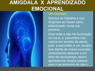 AMIGDALA X APRENDIZADO
EMOCIONAL
 Um exemplo:
 Saímos do trabalho e nos
dirigimos ao nosso carro,
estacionado numa rua
próxima.
 Esta noite e não há iluminação
na rua e, a penumbra nos
coloca em sentido de alerta,
pois a escuridão é um cenário
que diante de nossa evolução,
costumamos associar a um
fator de risco/perigo; assim,
apressamos nossos passos
para ir ao encontro do carro...
 