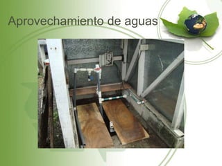 Aprovechamiento de aguas
 