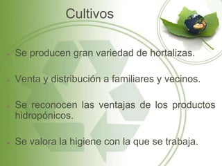Cultivos

Se producen gran variedad de hortalizas.

Venta y distribución a familiares y vecinos.

Se reconocen las ventajas de los productos
hidropónicos.

Se valora la higiene con la que se trabaja.
 