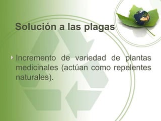 Solución a las plagas


Incremento de variedad de plantas
medicinales (actúan como repelentes
naturales).
 