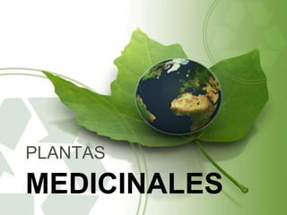 PLANTAS
MEDICINALES
 