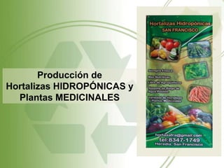 Producción de
Hortalizas HIDROPÓNICAS y
  Plantas MEDICINALES
 