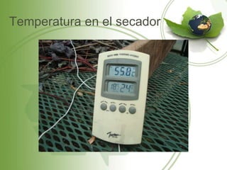 Temperatura en el secador
 