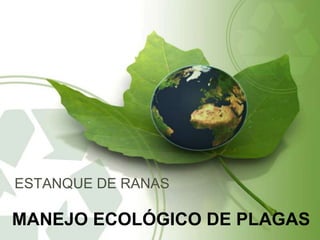 ESTANQUE DE RANAS

MANEJO ECOLÓGICO DE PLAGAS
 