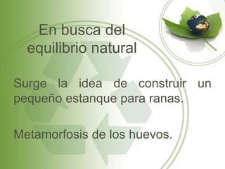 En busca del
  equilibrio natural

Surge la idea de construir un
pequeño estanque para ranas.

Metamorfosis de los huevos.
 