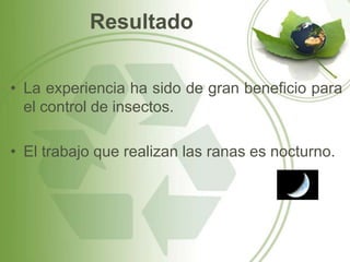 Resultado


• La experiencia ha sido de gran beneficio para
  el control de insectos.

• El trabajo que realizan las ranas es nocturno.
 