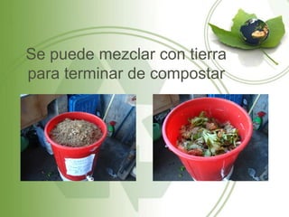 Se puede mezclar con tierra
para terminar de compostar
 