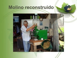 Molino reconstruido
 
