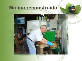 Molino reconstruido
 