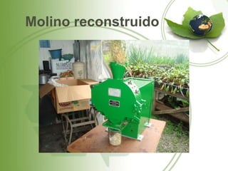 Molino reconstruido
 