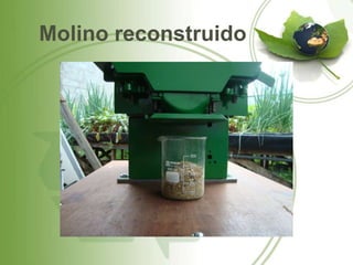 Molino reconstruido
 