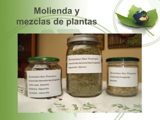 Molienda y
mezclas de plantas
 