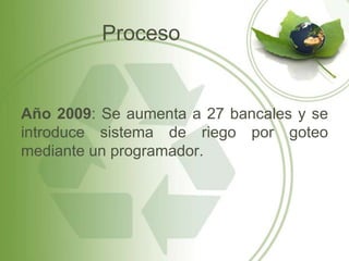 Proceso


Año 2009: Se aumenta a 27 bancales y se
introduce sistema de riego por goteo
mediante un programador.
 