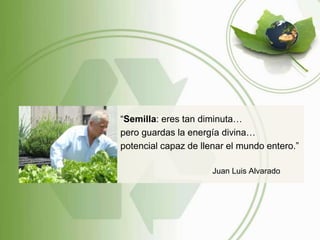 “Semilla: eres tan diminuta…
pero guardas la energía divina…
potencial capaz de llenar el mundo entero.”

                      Juan Luis Alvarado
 