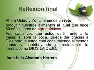 Reflexión final
Ahora Usted y Yo … tenemos un reto,
producir nuestros alimentos al igual que hace
60 años, libres de agroquímicos.
Así, cada vez que usted esté frente a la
mesa, al abrir la boca…puede dar gracias a
Dios porque usted está consumiendo alimentos
sanos y contribuyendo a restablecer la
tierra…como DIOS LA DEJÓ.

Juan Luis Alvarado Herrera
 