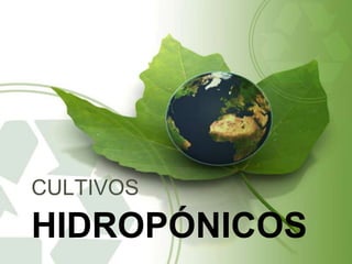 CULTIVOS
HIDROPÓNICOS
 