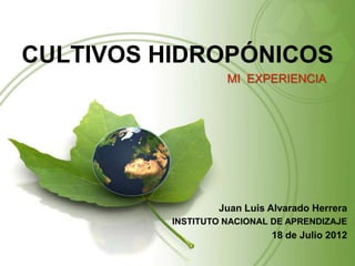 CULTIVOS HIDROPÓNICOS
                    MI EXPERIENCIA




                  Juan Luis Alvarado Herrera
          INSTITUTO NACIONAL DE APRENDIZAJE
                            18 de Julio 2012
 