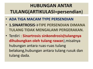 HUBUNGAN ANTAR
TULANG(ARTIKULASI=persendian)
• ADA TIGA MACAM TYPE PERSENDIAN
• 1.SINARTROSIS→TIPE PERSENDIAN DIMANA
TULANG TIDAK MENGALAMI PERGERAKAN.
• Terdiri : Sinartrosis sinkondrosis(tulangnya
dihubungkan oleh tulang rawan),misalnya
hubungan antara ruas-ruas tulang
belakang,hubungan antara tulang rusuk dan
tulang dada.

 
