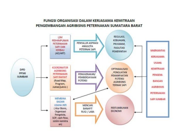 Ppski P Resentasi
