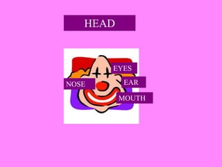 HEAD
EYES
EARNOSE
MOUTH
 