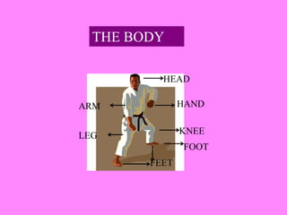THE BODY
HEAD
HAND
KNEE
FOOT
FEET
ARM
LEG
 