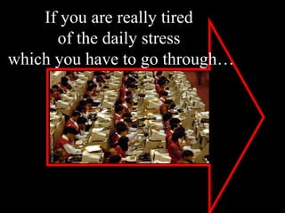 If you are really tired  of the daily stress  which you have to go through… 