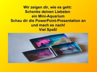 Wir zeigen dir, wie es geht:  Schenke deinen Liebsten  ein Mini-Aquarium Schau dir die PowerPoint-Presentation an und mach es nach! Viel Spaß! 