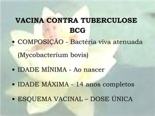 VACINA CONTRA TUBERCULOSE  BCG COMPOSIÇÃO -  Bactéria viva atenuada (Mycobacterium bovis) IDADE MÍNIMA - Ao nascer IDADE MÁXIMA - 14 anos completos ESQUEMA VACINAL – DOSE ÚNICA 
