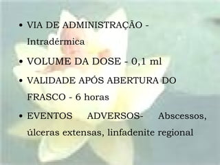 VIA DE ADMINISTRAÇÃO - Intradérmica  VOLUME DA DOSE - 0,1 ml VALIDADE APÓS ABERTURA DO FRASCO - 6 horas EVENTOS ADVERSOS- Abscessos, úlceras extensas, linfadenite regional 