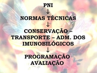 PNI  NORMAS TÉCNICAS  CONSERVAÇÃO – TRANSPORTE – ADM. DOS IMUNOBILÓGICOS  PROGRAMAÇÃO  AVALIAÇÃO  