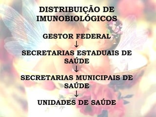 DISTRIBUIÇÃO DE IMUNOBIOLÓGICOS GESTOR FEDERAL  SECRETARIAS ESTADUAIS DE SAÚDE  SECRETARIAS MUNICIPAIS DE SAÚDE  UNIDADES DE SAÚDE 