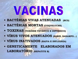 BACTÉRIAS VIVAS ATENUADAS  (BCG)   BACTÉRIAS MORTAS  (COQUELUCHE) TOXINAS  (TOXÓIDE TETÂNICO E DIFTÉRICO)  VÍRUS VIVOS ATENUADOS  (SABIN, SARAMPO...) VÍRUS INATIVADOS  (RAIVA E INFLUENZA) GENETICAMENTE  ELABORADOS EM LABORATÓRIO  (HEPATITE B)   VACINAS 