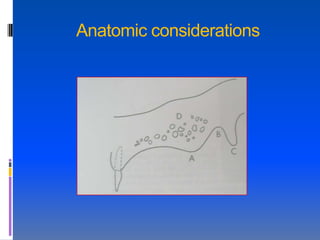 Anatomic considerations
 
