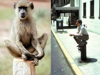 What if we Built our Communities aroundHappiness and Community Wellbeing?Comfort and Amenities