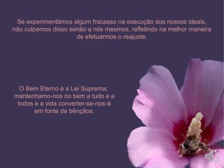 Se experimentámos algum fracasso na execução dos nossos ideais,
não culpemos disso senão a nós mesmos, refletindo na melhor maneira
de efetuarmos o reajuste.
O Bem Eterno é a Lei Suprema;
mantenhamo-nos no bem a tudo e a
todos e a vida converter-se-nos-à
em fonte de bênçãos.
 