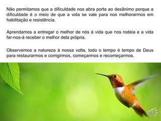 Não permitamos que a dificuldade nos abra porta ao desânimo porque a
dificuldade é o meio de que a vida se vale para nos melhorarmos em
habilitação e resistência.
Aprendamos a entregar o melhor de nós à vida que nos rodeia e a vida
far-nos-à receber o melhor dela própria.
Observemos a natureza à nossa volta, todo o tempo é tempo de Deus
para restaurarmos e corrigirmos, começarmos e recomeçarmos.
 