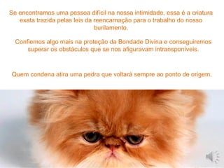 Se encontramos uma pessoa difícil na nossa intimidade, essa é a criatura
exata trazida pelas leis da reencarnação para o trabalho do nosso
burilamento.
Quem condena atira uma pedra que voltará sempre ao ponto de origem.
Confiemos algo mais na proteção da Bondade Divina e conseguiremos
superar os obstáculos que se nos afiguravam intransponíveis.
 