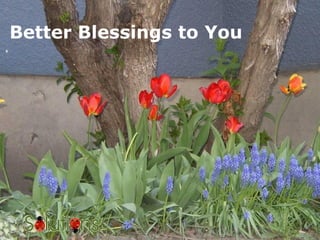 Better Blessings to You  