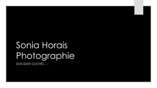 Sonia Horais
Photographie
QUELQUES CLICHÉS…..

 
