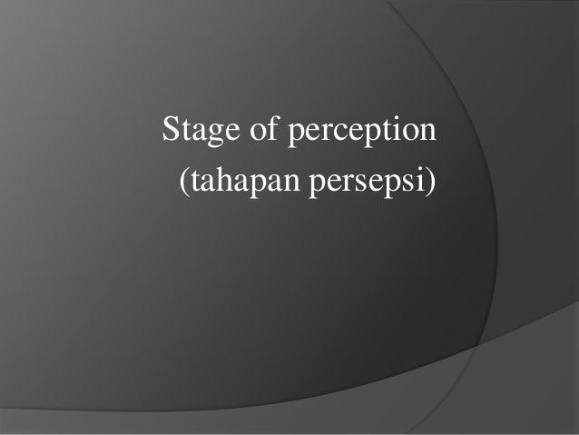 Stage Of Perception Tahapan Persepsi