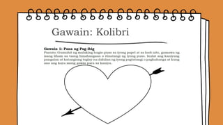 Gawain: Kolibri
 