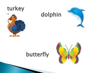 turkeydolphinbutterfly