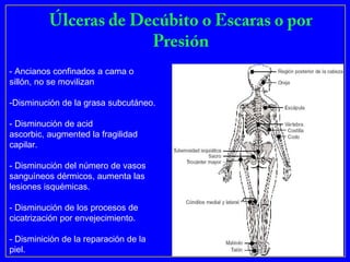 - Ancianos confinados a cama o
sillón, no se movilizan

-Disminución de la grasa subcutáneo.

- Disminución de acid
ascorbic, augmented la fragilidad
capilar.

- Disminución del número de vasos
sanguíneos dérmicos, aumenta las
lesiones isquémicas.

- Disminución de los procesos de
cicatrización por envejecimiento.

- Disminición de la reparación de la
piel.
 