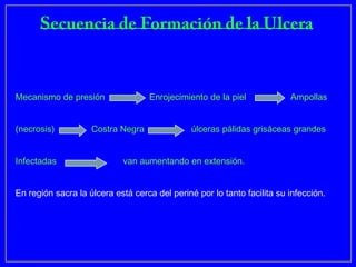 Mecanismo de presión               Enrojecimiento de la piel             Ampollas


(necrosis)          Costra Negra               úlceras pálidas grisáceas grandes


Infectadas                  van aumentando en extensión.


En región sacra la úlcera está cerca del periné por lo tanto facilita su infección.
 